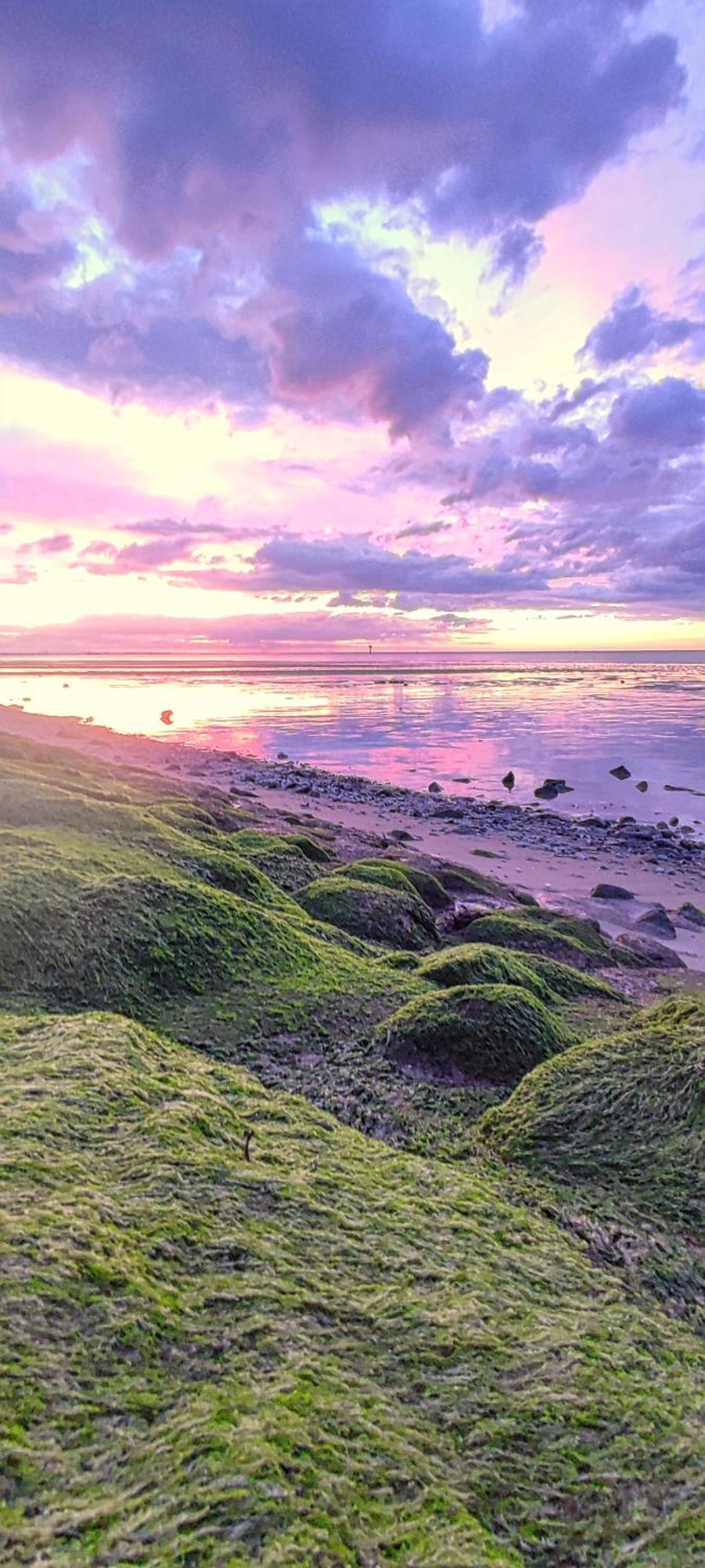 Nordseezimmer Koi Оттерндорф Экстерьер фото